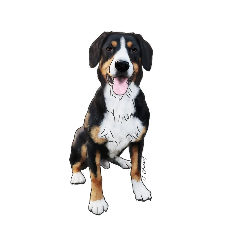 Entlebucher Mountain Dog (Design 2) - Printed Transfer Sheets for a variety of surfaces